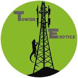 Tower Exotics